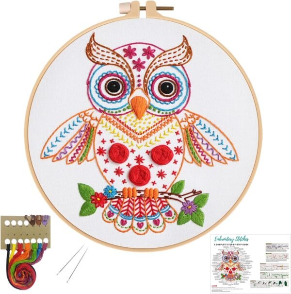 Beginners Adults Embroidery Kits,Owl Stamped Pattern,Starters Cross Stitch kit Including Hoop,Cloth,Needles,Instruction and Threads